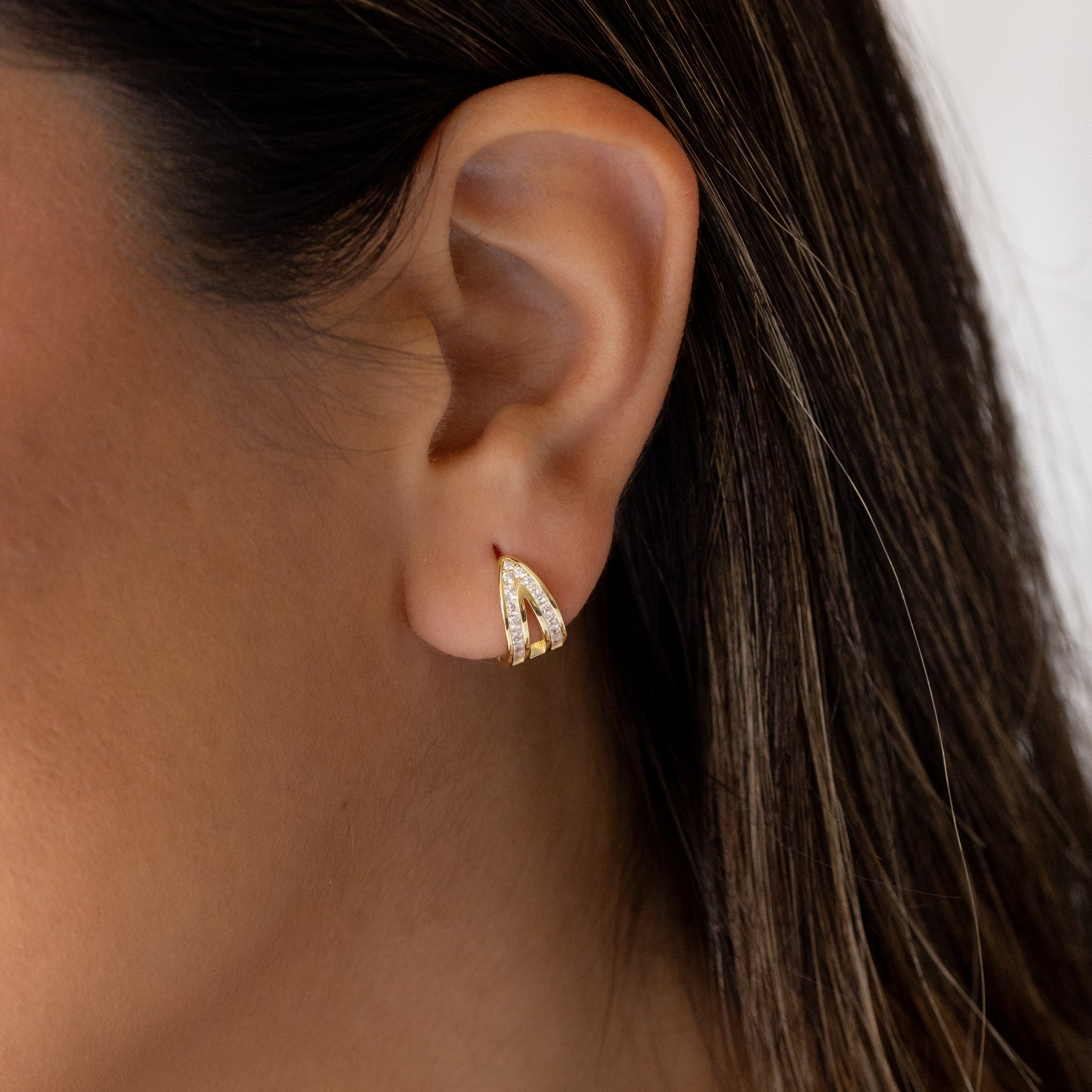NUEVAS ARGOLLAS