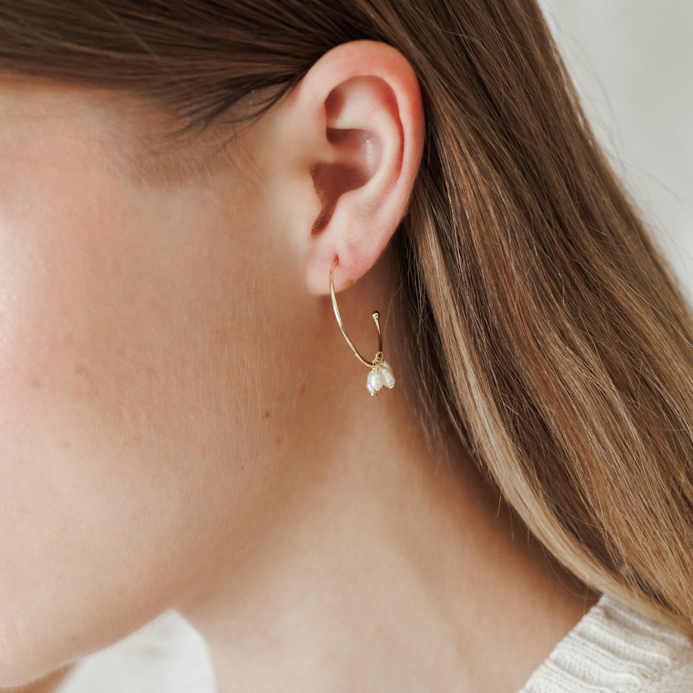NUEVAS ARGOLLAS