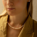 Collares - Daily Pearl