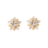 Aretes Mini - Super Star