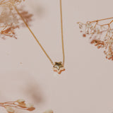 Collares - Mi Estrella Gold