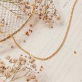 Collares - Basic Cord