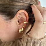 Argollas - Danna Gold
