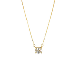 Collares - Loyalty