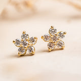 Aretes Mini - Roseta