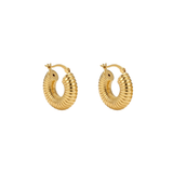 Argollas - Olivia