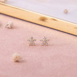 Aretes Mini - Roseta Bonita