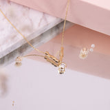 Collares - Geo Cristal