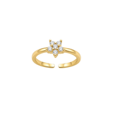 Anillos - Flora
