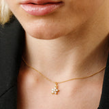 Collares - Roseta