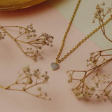 Collares - Puro Amor