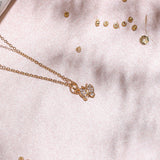 Collares - Mariposa