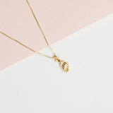 Collares - Conchita dorada