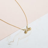 Collares - Bicicleta