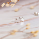 Aretes Mini - Estrellita silver