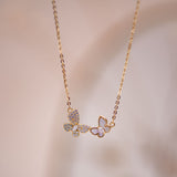 Collares - Libertad