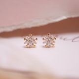 Aretes Mini - Shining Star
