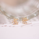 Aretes Mini - Luz