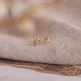 Aretes Mini - Abridores Cristal