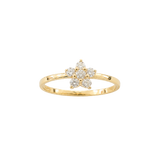 Anillos - Roseta