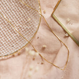 Collares - Snake Petit