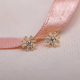 Aretes Mini - Brillitos