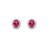 Aretes Mini - Royal