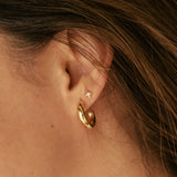 Argollas - Chubby Gold