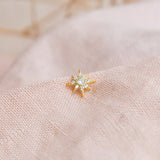 Piercing - Antonia Shine