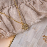 Collares - Dog Lovers