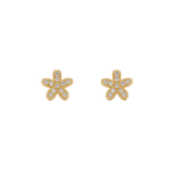 Aretes Mini - Fiore