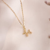 Collares - Dog Gold