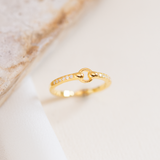Anillos - Enlace