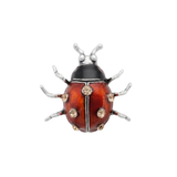 Broches - Ladybug
