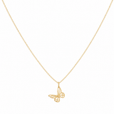 Collares - Mariposa Gold