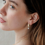 Argollas - Charlotte