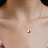 Collares - Mariposa Encantada