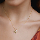 Collares - Mariposa Encantada