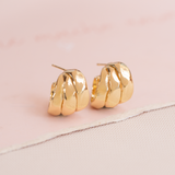 Argolla - Olivia