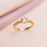 Anillos - Dynasty