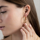 Argollas - Classic L