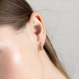 Argollas - Arya