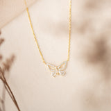 Collares - Mariposa Eterna