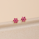 Aretes Mini - Aurora