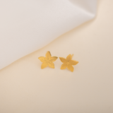 Aretes Mini - Flor de Sol