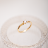 Anillos de Compromiso - Promesa Eterna