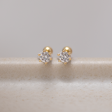 Aretes Mini - Punto de Luz Mini