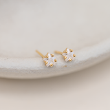 Aretes Mini - Estrella Nácar