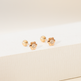 Aretes Mini - Abridores Daisy Cristal