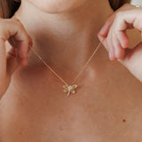 Collares - Libélula